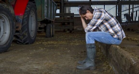 Exploitants agricoles : le dispositif de prêts structurels garantis par l’État est en place