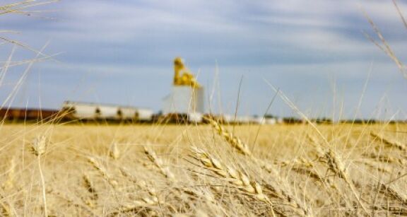 Un partenariat signé entre SNCF Réseau et Intercéréales pour le transport de céréales