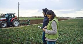 Acquisition de parcelles agricoles par substitution aux droits d’une Safer : du nouveau !