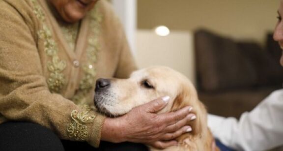 Médico-social : accueil d’animaux de compagnie dans les Ehpad