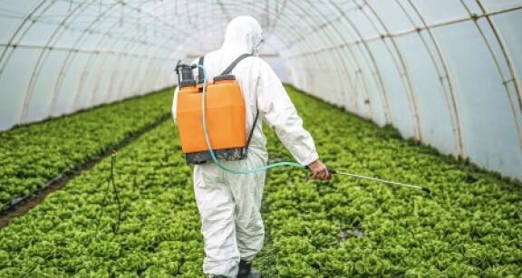 Exploitants agricoles : prolongation d’un an des certiphytos arrivant à échéance