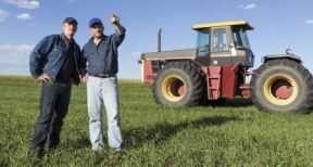 Un train de mesures destinées à soutenir le secteur agricole